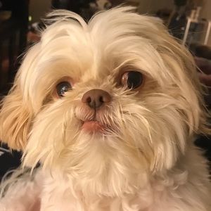 Meet your Posher, Radhika